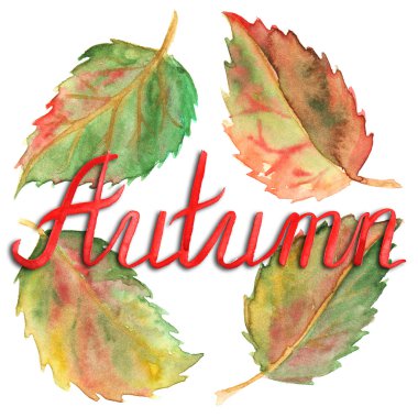 Sonbahar mürekkep tipografik yeşil sarı kırmızı harfler izole kümesi bırakır