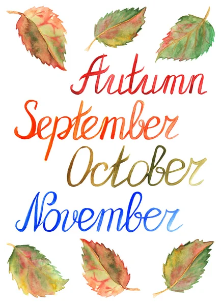 秋天树叶月九月十月十一月季节版式设置 — 图库照片