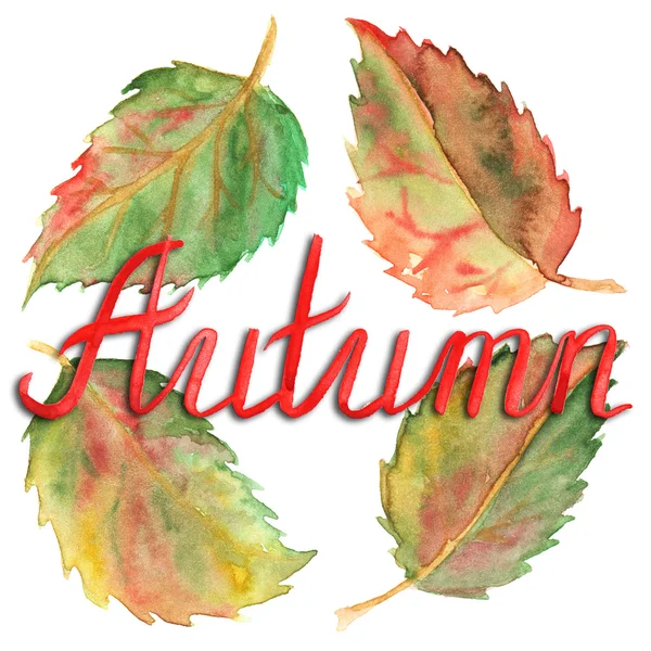 Encre d'automne lettrage typographique vert jaune rouge feuilles mis isolé — Photo