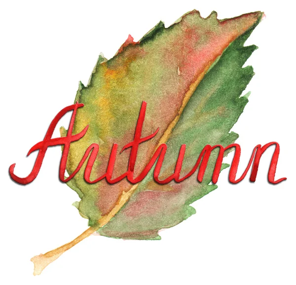 Tinta de otoño tipografía tipográfica verde amarillo hoja roja aislada —  Fotos de Stock