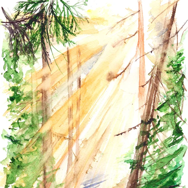 Акварель утром желтый солнечный свет лесной пейзаж — стоковое фото
