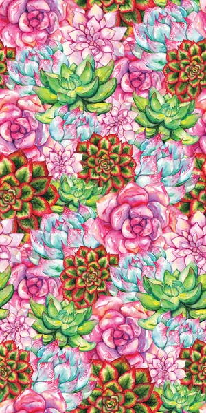 Akvarell zamatos kaktusz virág növény kézzel rajzolt zökkenőmentes minta — Stock Fotó