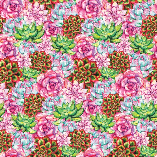 水彩多肉サボテンの花の植物が描かれたシームレス パターンを手します。 — ストック写真