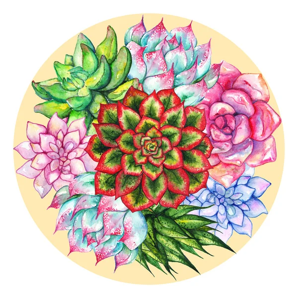 Akvarell, zamatos, virág kompozíció kézzel rajzolt készlet elszigetelt — Stock Fotó