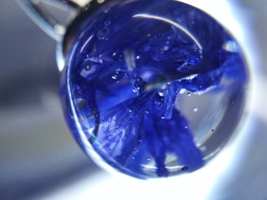 Kurumuş çiçek bitkisi epoksi reçine topu kolye takı makro fotoğraf.