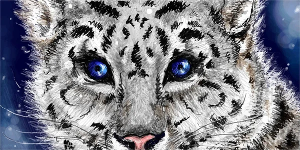 Vecteur léopard des neiges croquis — Image vectorielle