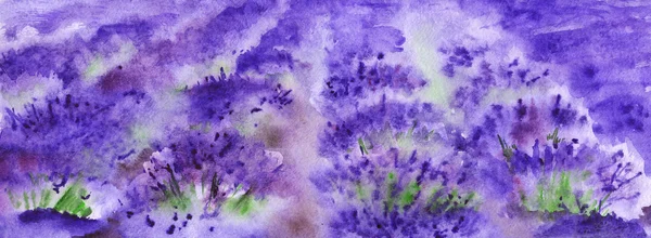 Watercolor lavender fields nature France Provence landscape — Stock Photo, Image