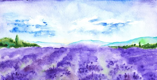 Suluboya lavanta doğa Fransa Provence peyzaj alanları