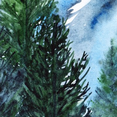 Suluboya turkuaz kış ormanı çam ağacı manzarası