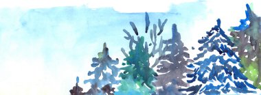 Suluboya kış karlı çam ahşap orman manzarası