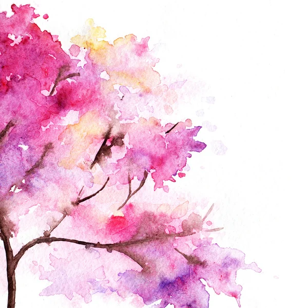 Aquarell einzelner rosa Kirschsakura-Baum isoliert — Stockfoto