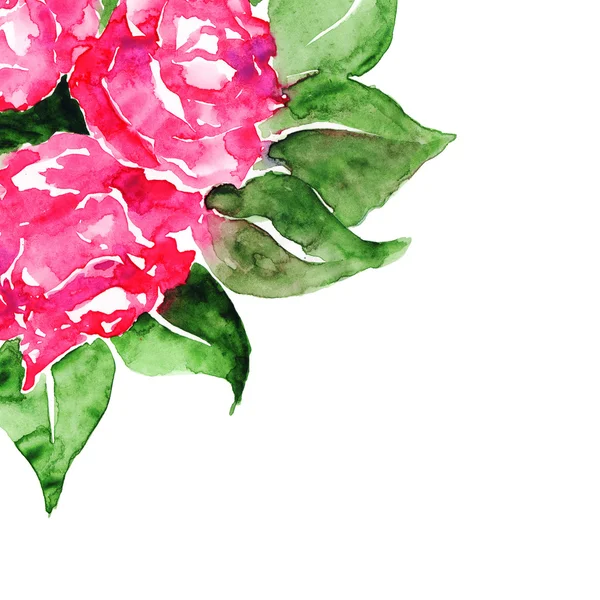 Akvarell rózsaszín rózsa virágok levelek elszigetelt virág kompozíció — Stock Fotó