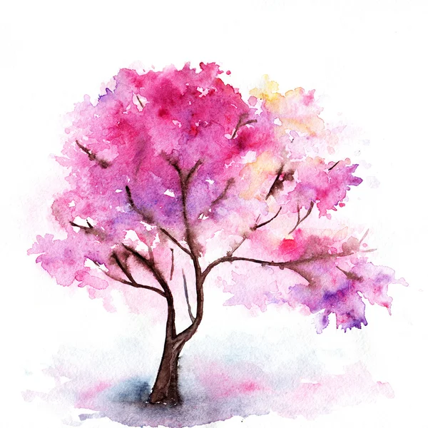 İzole suluboya tek pembe kiraz sakura ağacı