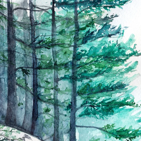 Watercolor turquoise winter wood forest pine landscape — Stock Photo, Image
