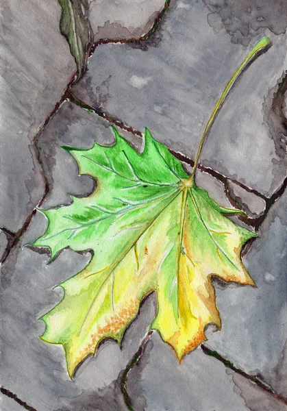 수채화가 단풍 떨어진 잎 아스팔트에 — 스톡 사진