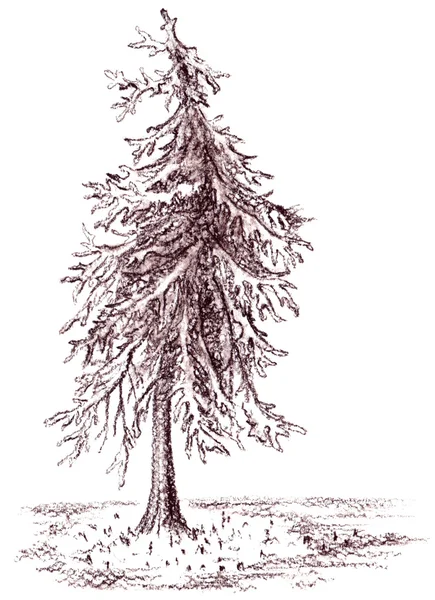 孤立的棕色的库存的单色的树的棕褐色素描 — 图库照片