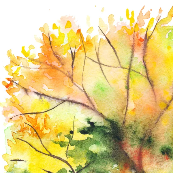 Акварель осень желтые оранжевые зеленые деревья на заднем плане — стоковое фото