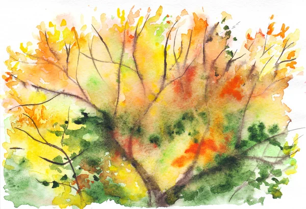 Suluboya sonbahar sarı turuncu yeşil ağaç bitki örtüsü arka plan — Stok fotoğraf
