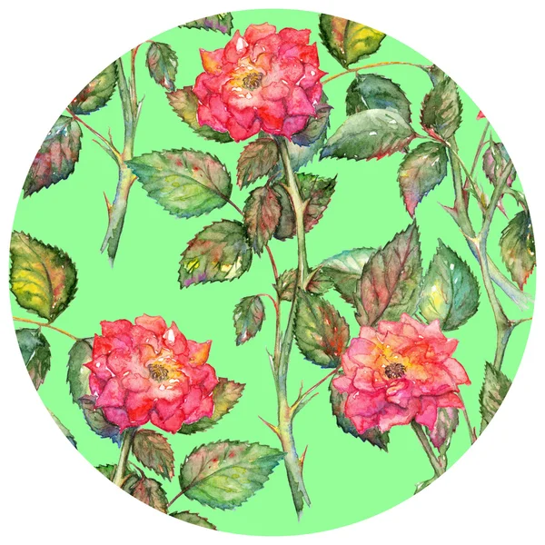 Aquarelle rose roses cercle motif texture fond — Photo