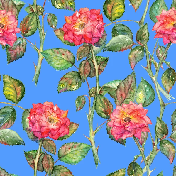 Sulu boya pembe Gül sorunsuz doku arka plan desen