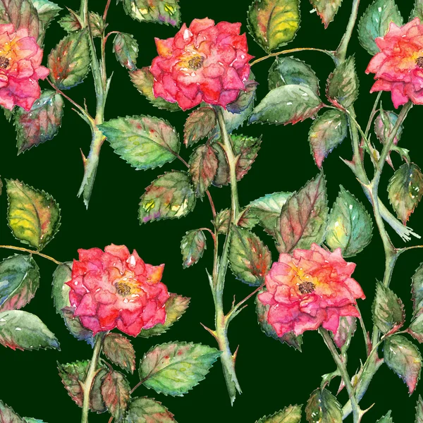 シームレスな水彩画のピンクのバラ柄のテクスチャ背景 — ストック写真