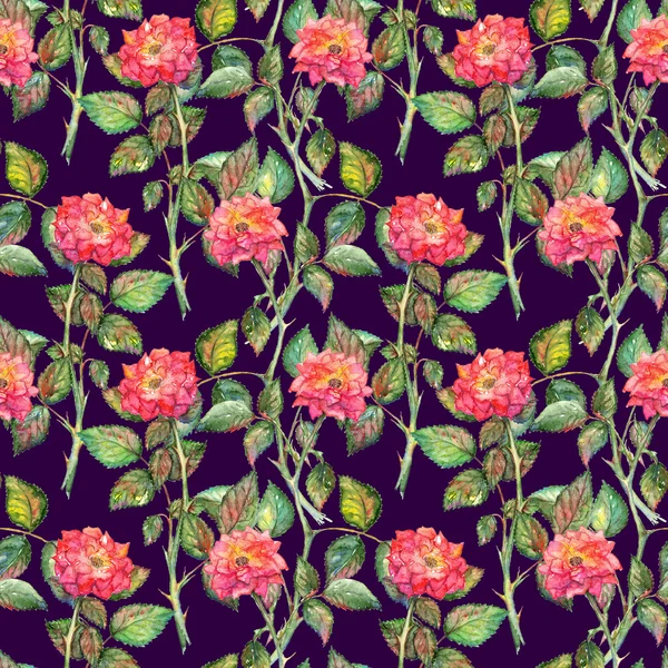 Watercolor pink roses seamless pattern texture background — Stock Photo, Image