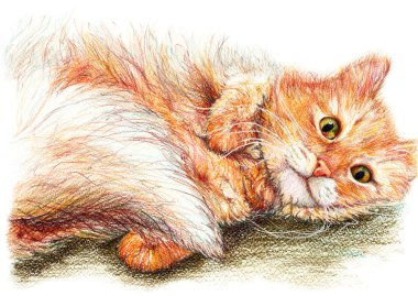 Şirin güzel kızıl tüylü kedi yavru kedi elle çizilmiş sanat