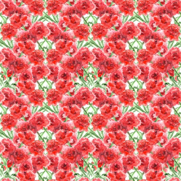 Akvarell szegfű szegfűszeg piros virág varrat nélküli mintát textúra — Stock Fotó