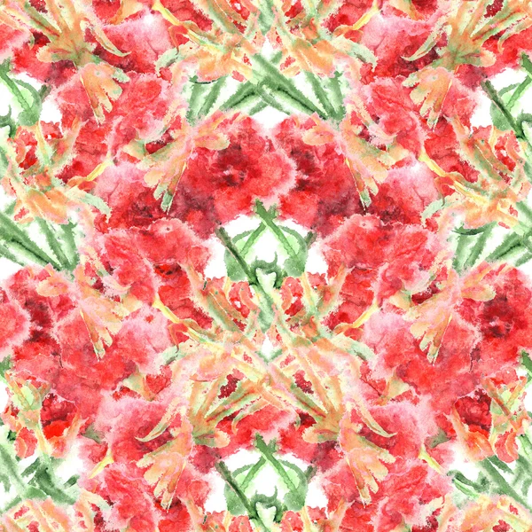 Hřebíček akvarel karafiát červený květ vzor bezešvé textury — Stock fotografie