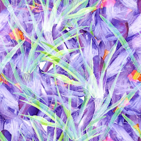 Aquarell violett lila Krokusblume nahtlose Muster Hintergrund — Stockfoto