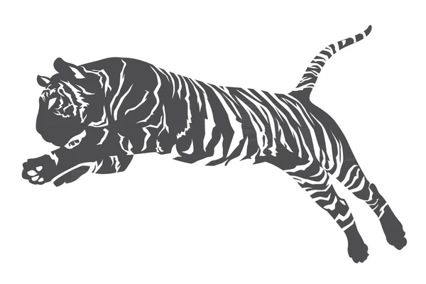 Línea de tigre vector gráfico — Vector de stock