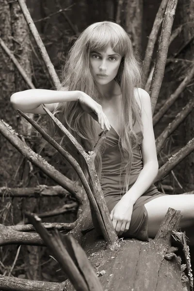 Fantasy young woman in woods — Stock Photo, Image