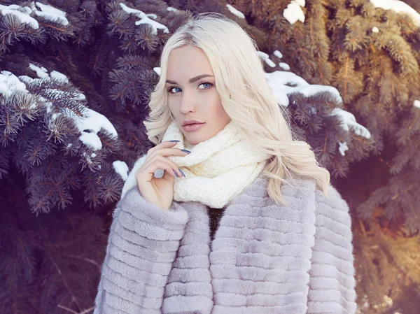 Winter beautiful young Woman in Fur Coat — стоковое фото