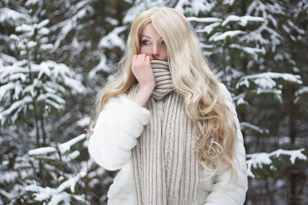 Bellezza ragazza nella foresta invernale — Foto Stock
