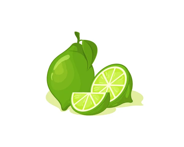 Diseño Vectores Fruta Lima Fresca Rebanada Trozos Lima — Vector de stock