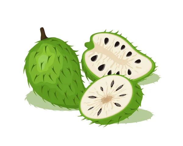 Diseño Vector Fruta Verde Soursop Fruta Entera Mitad — Vector de stock