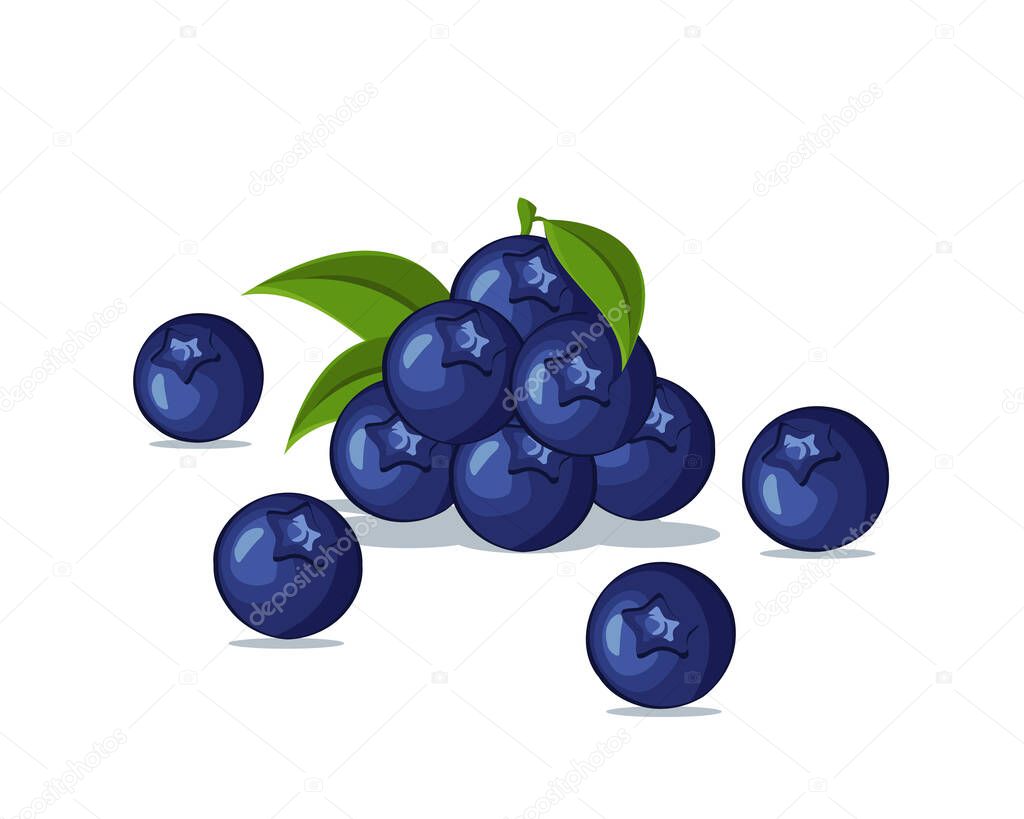 Blueberry fresh fruit vector design. Summer fruits for healthy lifestyle