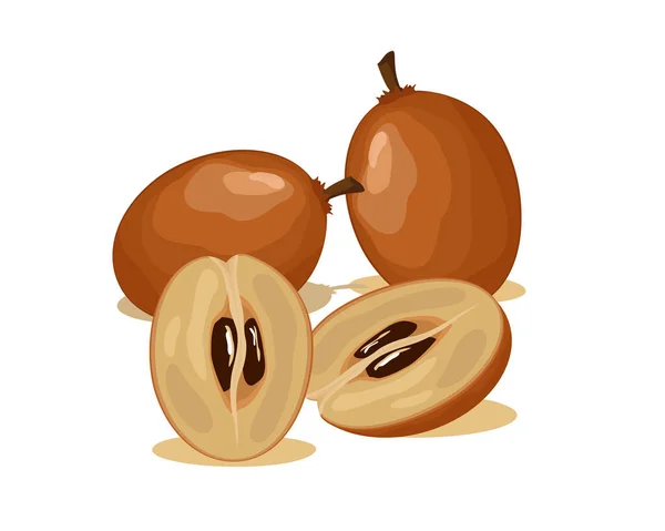 Diseño Vectores Fruta Dulce Sapodilla Fruta Entera Mitad — Archivo Imágenes Vectoriales