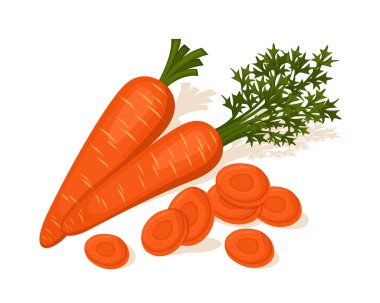 Taze havuç sebze vektör tasarımı. Pazar ürünleri için sebze.