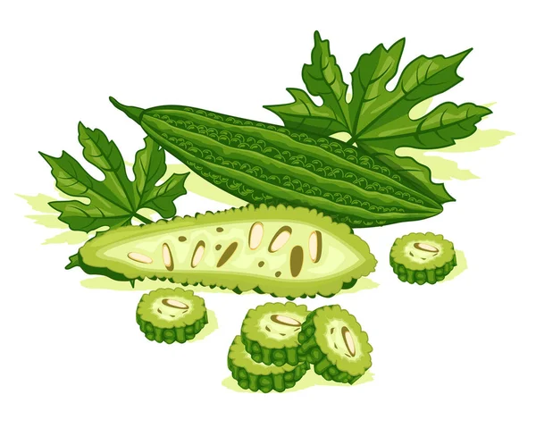 葉が緑色のゴーヤ野菜 健康のための良い有機食品 ゴーヤベクトルデザイン — ストックベクタ