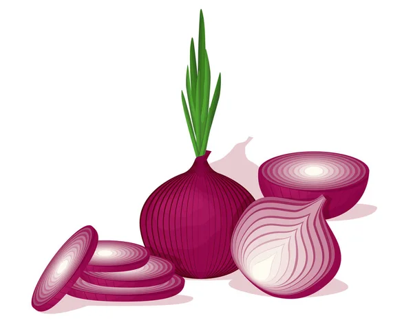 Shallot sebze vektör tasarımı. Pazar ürünleri için sebze.