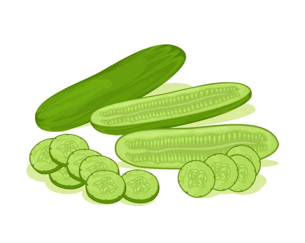 Diseño Del Vector Vegetal Fresco Pepino Hortalizas Productos Agrícolas Para — Vector de stock