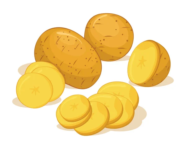 Gele Verse Aardappel Groenten Vector Ontwerp Groenten Van Landbouwbedrijven Voor — Stockvector