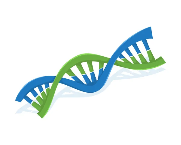 DNA logo sembolü vektörü. Genel logo şablonu