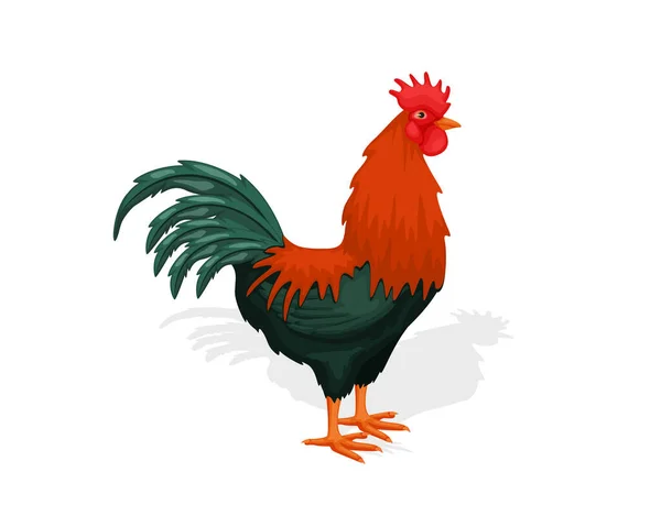 Gallo Polla Logo Vector Atractivo Diseño Pollo Granja Ilustración Vectorial — Vector de stock