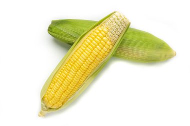 Beyaz arka planda paket tasarım elementi olarak izole edilmiş taze mısır. Vegan gıda konsepti. sağlıklı beslenme