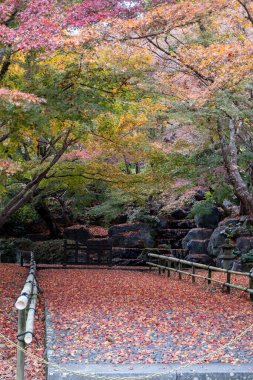 Renkli yapraklar huzurlu bir bahçede dolambaçlı bir yol örtüyor. Canlı ağaçlar, kayalık oluşumların arka planına karşı kırmızı ve sarı tonlarını göstererek sakin bir atmosfer yaratırlar..