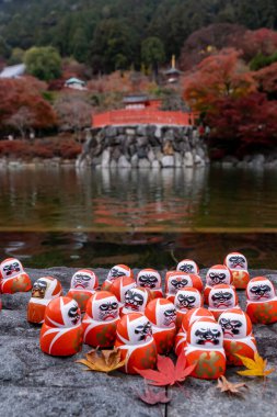 Düzinelerce Daruma bebeği sakin bir gölün yanındaki kayalık bir sahilde düzenlenir. Parlak sonbahar yaprakları arka planda bir tapınak ve canlı ağaçlarla çevrili..