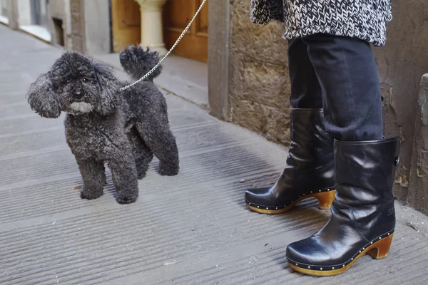 Kvinna med hund — Stockfoto