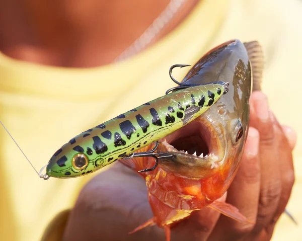 Piraña con señuelo de pesca Topwater —  Fotos de Stock